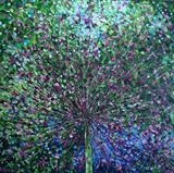 Allium Burst - Alison Cowan
