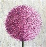 Allium Haze - Alison Cowan