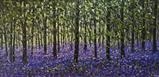 Amethyst Vista - Alison Cowan