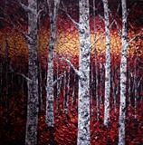 Band of Gold - Alison Cowan