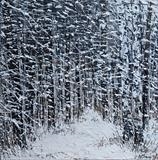 Blanket of Snow - Alison Cowan