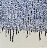 Blanket of Snow - Alison Cowan