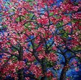 Blossom and Branches - Alison Cowan