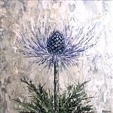 Blue Haze Sea Holly - Alison Cowan