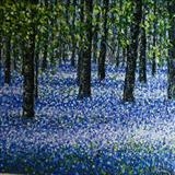 Bluebell Carpet 2 - Alison Cowan