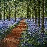 Bluebell Forest - Alison Cowan