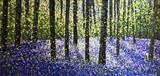 Bluebell Reflections - Alison Cowan