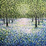 Bluebell Sparkle - Alison Cowan