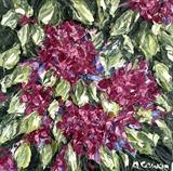 Cerise Hydrangeas - Alison Cowan