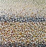 Coastal Breeze - Alison Cowan