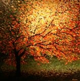Fiery Tree - Alison Cowan