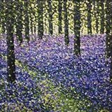 Filtered Light - Alison Cowan