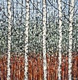 Five Birch Trees - Alison Cowan