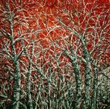 Frosty Trees - Alison Cowan