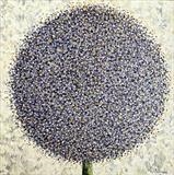 Glisten Pom Pom - Alison Cowan