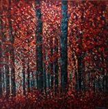 Illuminated Forest - Alison Cowan