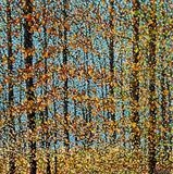 Impactful Autumn - Alison Cowan