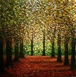 Into the Light - Alison Cowan