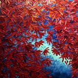 Maple Leaves - Alison Cowan