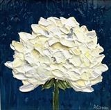 Peony - Alison Cowan