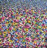 Rainbow Flower Field - Alison Cowan