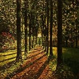Reflections - Alison Cowan