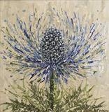 Sea Holly Whoosh - Alison Cowan