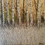 Silver Grasses with Birch - Alison Cowan