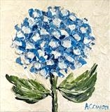 Single Blue Hydrangea - Alison Cowan