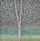 Single Silver Birch - Alison Cowan