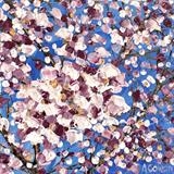 Spring blossom - Alison Cowan