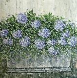 Textured Hydrangeas - Alison Cowan