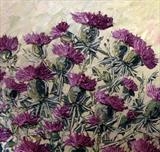 Thistle Field - Alison Cowan