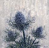 Triple Sea Holly - Alison Cowan