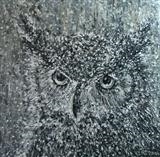 Wise Owl - Alison Cowan