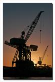 Govan Crane - Gordon Nicol