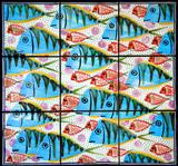 Fish tiles - Jason Shackleton