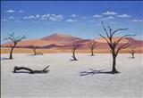Dead Vlei - John Rowland