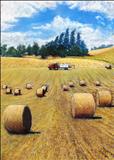 Kinkell Barley Field - John Rowland