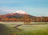 Ben Ledi from Lower Drumbane Callander - Peter Tarrant