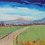 Ben Lomond from Darrens Place - Peter Tarrant