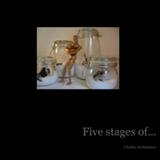 Five Stages of  - charlie mclenahan