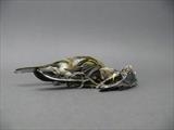 finches - charlie mclenahan