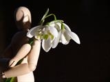 sentimentum - charlie mclenahan