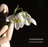 sentimentum - charlie mclenahan