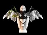 sentimentum - charlie mclenahan