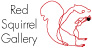 Red Squirrel Gallery